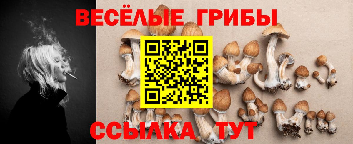 Галлюциногенные грибы мицелий  закладка  Сосновоборск  Вход с VPN 